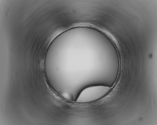 X0000095930953200801110915