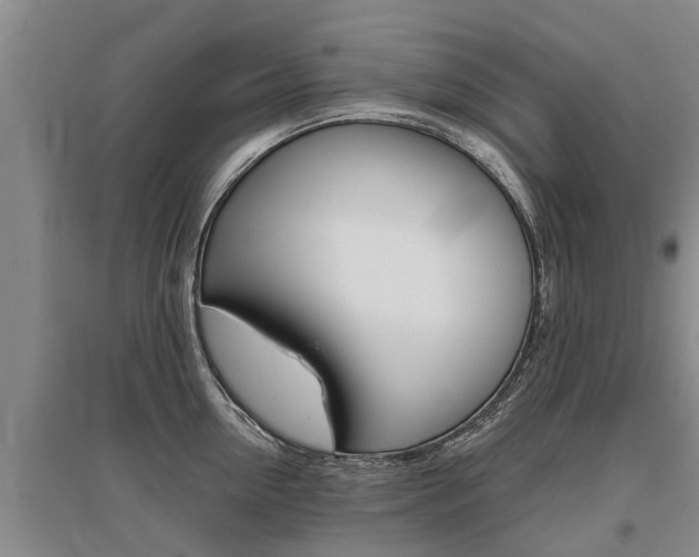 X0000095930954200801110915