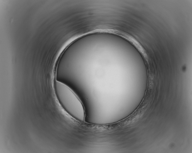 X0000095930955200801110915