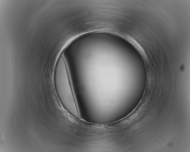 X0000095930956200801110915
