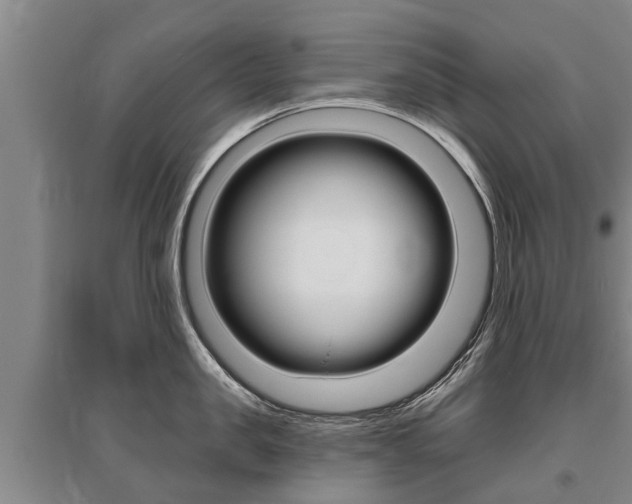 X0000095930957200801110915
