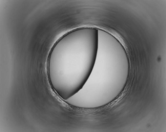X0000095930958200801110915