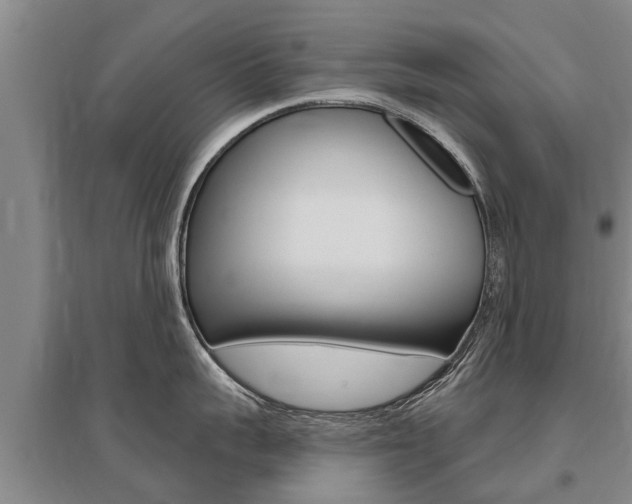 X0000095930959200801110915