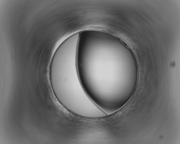 X0000095930960200801110915