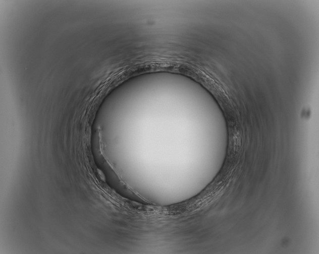 X0000095930961200801110914