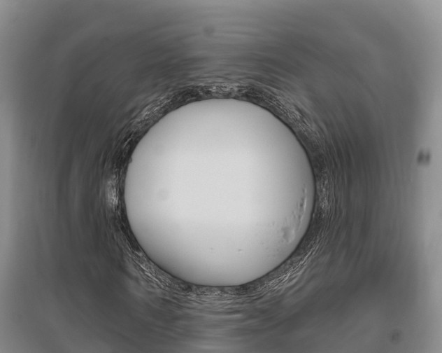 X0000095930962200801110914