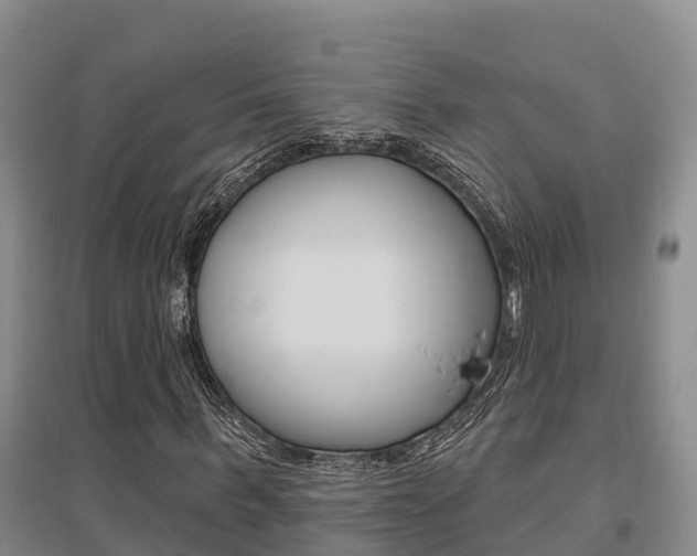 X0000095930963200801110914