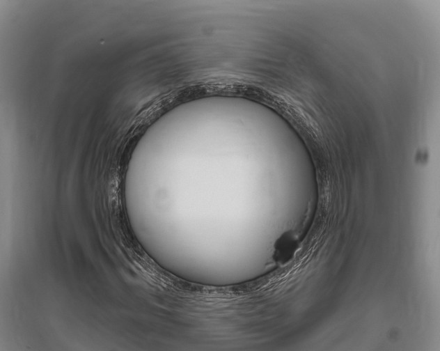 X0000095930964200801110914