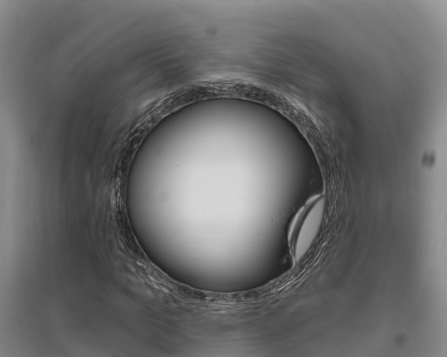X0000095930965200801110914