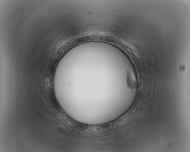 X0000095930966200801110914