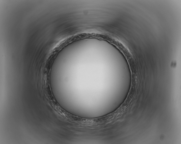 X0000095930968200801110914