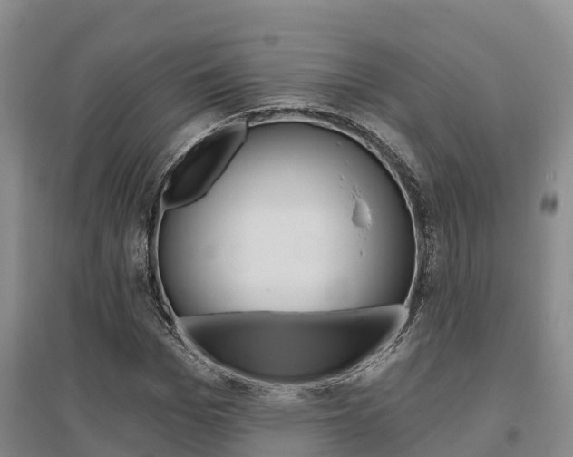 X0000095930969200801110914