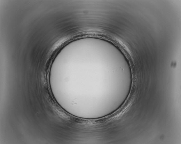 X0000095930970200801110914