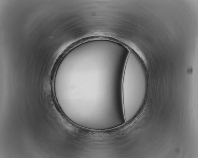 X0000095930972200801110914