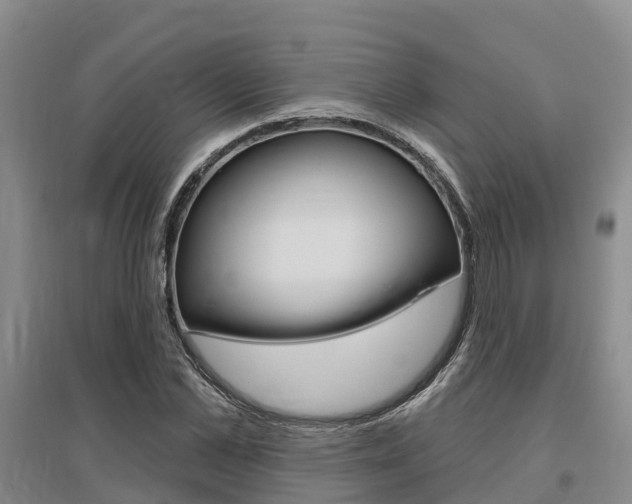 X0000095930973200801110914