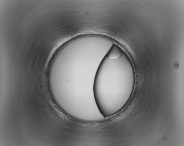 X0000095930974200801110914