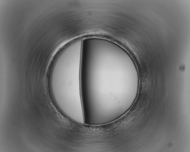 X0000095930975200801110914