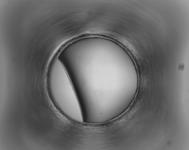 X0000095930976200801110914