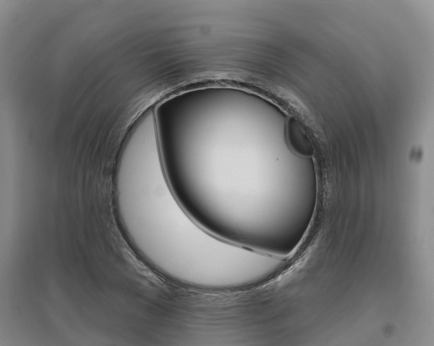 X0000095930977200801110914