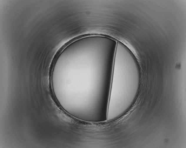 X0000095930980200801110914