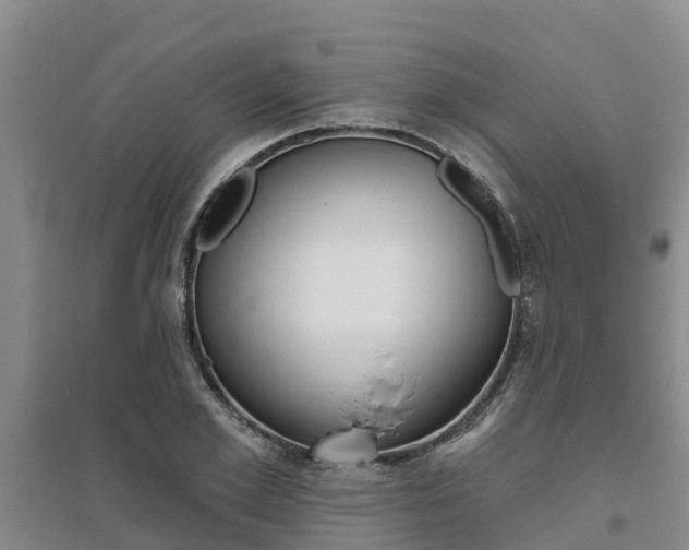 X0000095930981200801110914