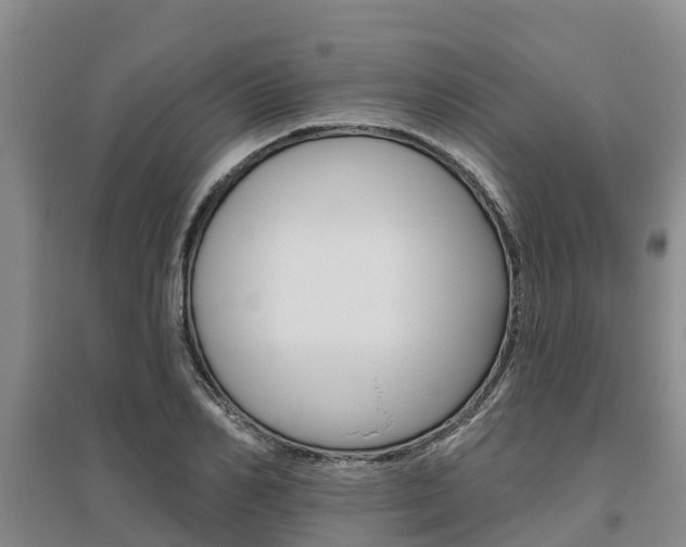 X0000095930982200801110914
