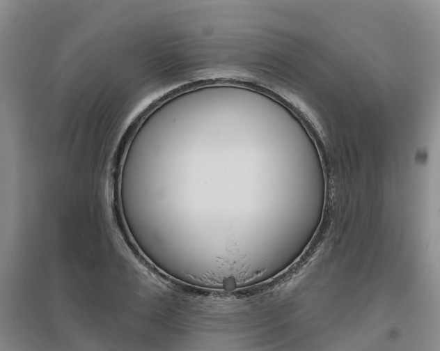 X0000095930983200801110914