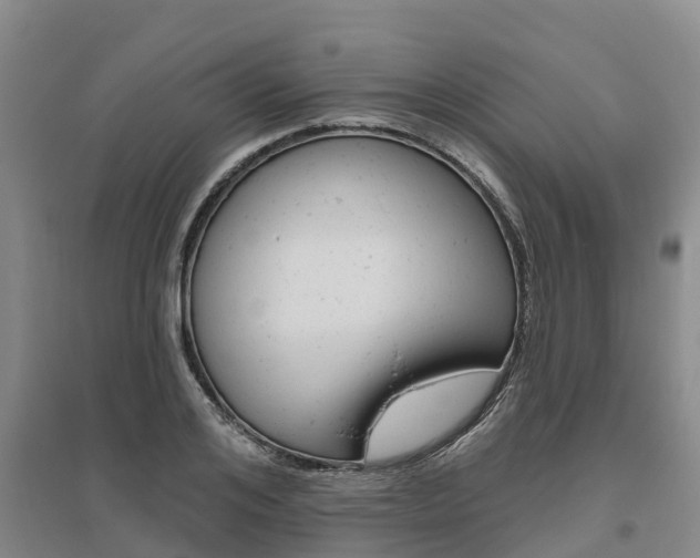 X0000095930984200801110914