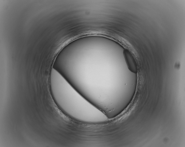 X0000095930985200801110914