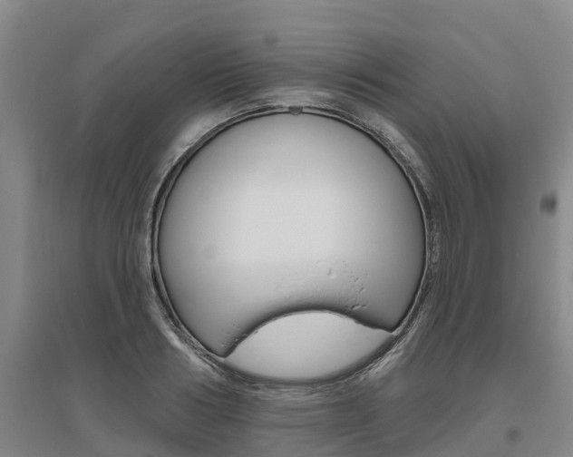 X0000095930986200801110914
