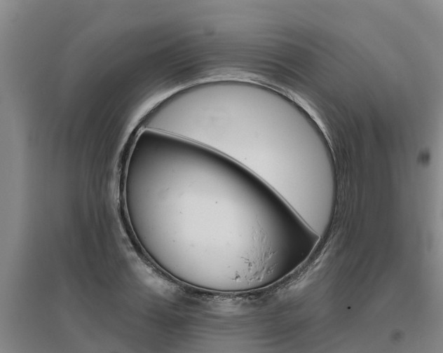X0000095930987200801110914