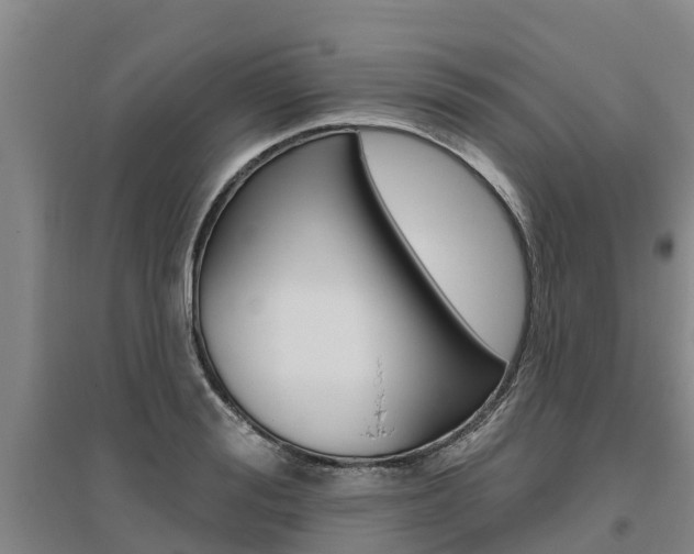 X0000095930988200801110914