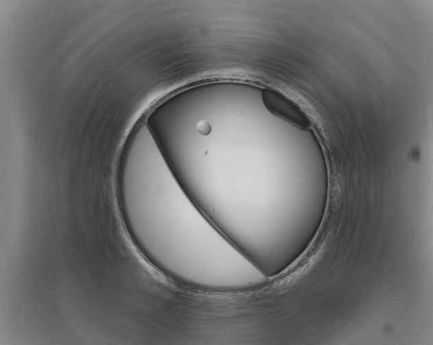 X0000095930989200801110914