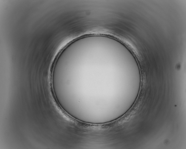 X0000095930990200801110914
