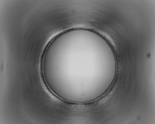 X0000095930991200801110914