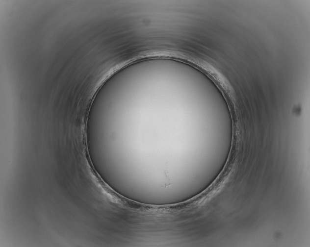 X0000095930993200801110914