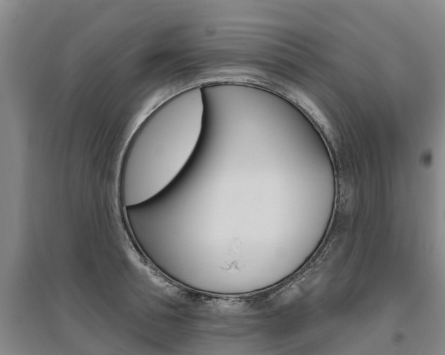 X0000095930994200801110914