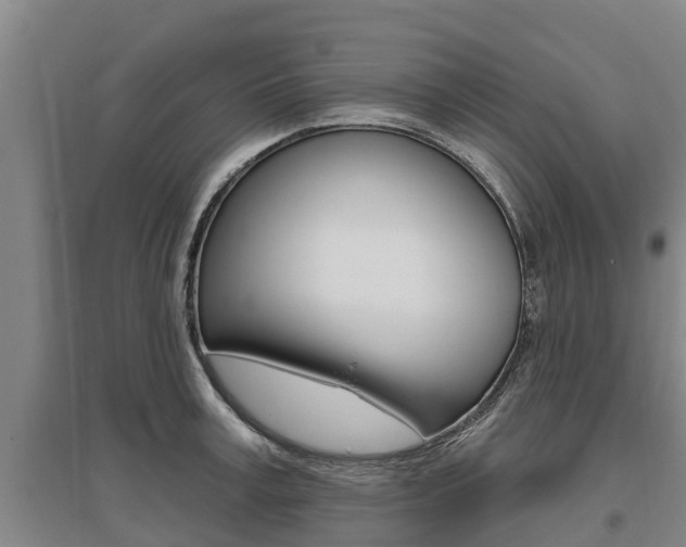 X0000095930995200801110914