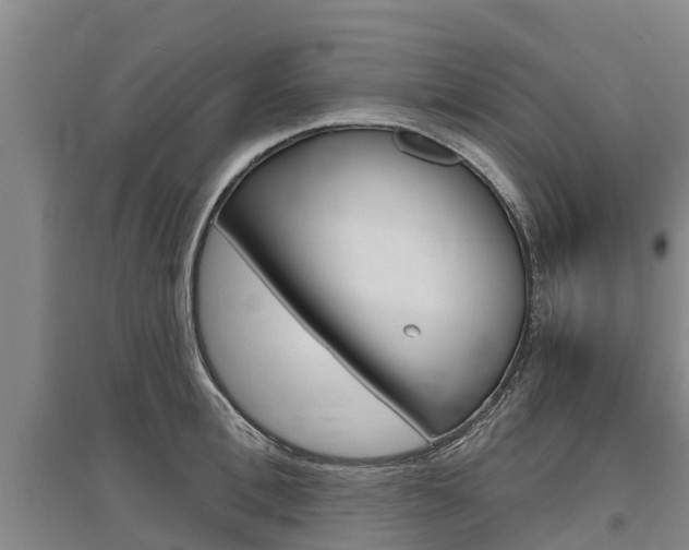 X0000095930996200801110914