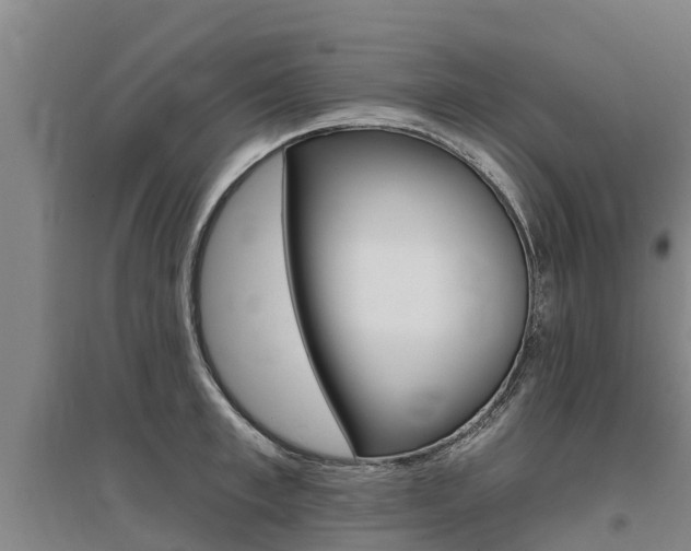 X0000095930997200801110914