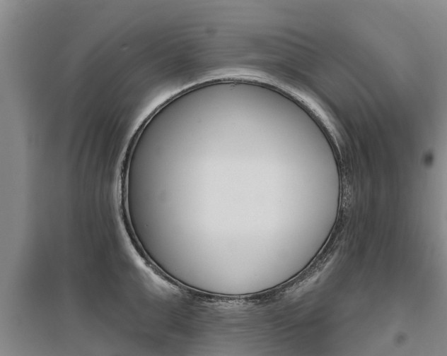 X0000095930999200801110914
