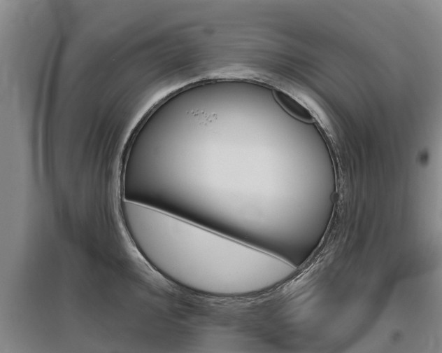 X0000095931000200801110914