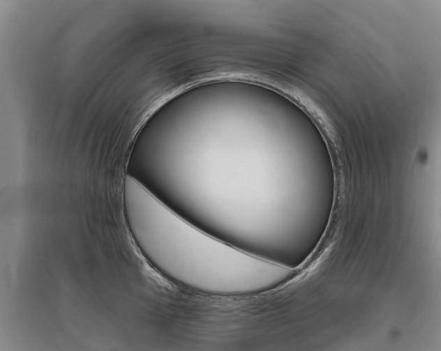 X0000095931001200801110913