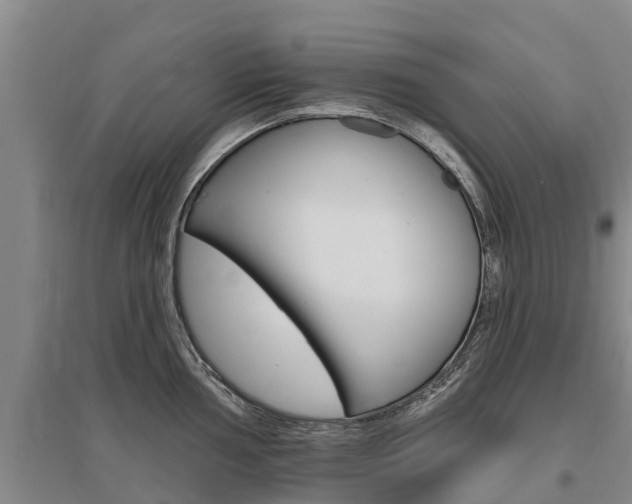 X0000095931002200801110913