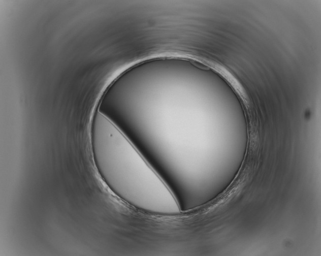 X0000095931004200801110913