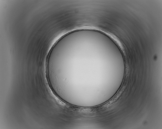 X0000095931006200801110913