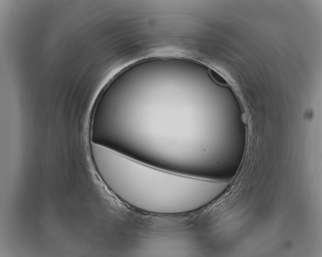 X0000095931008200801110913