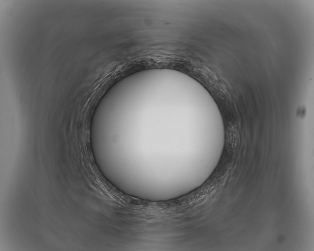 X0000095931009200801110913