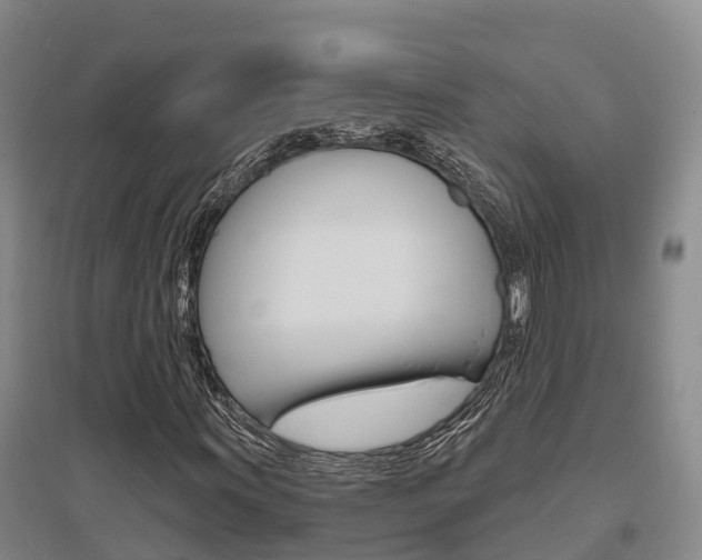 X0000095931011200801110913