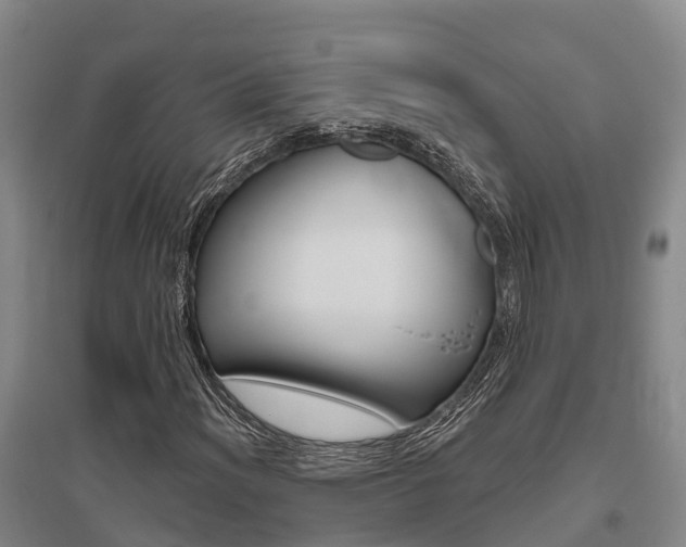 X0000095931012200801110913